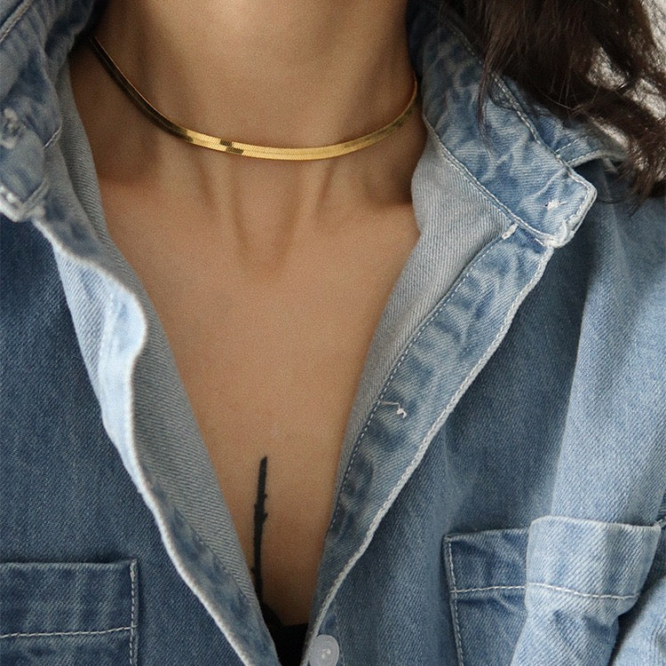Double Layered Collarbone Necklace